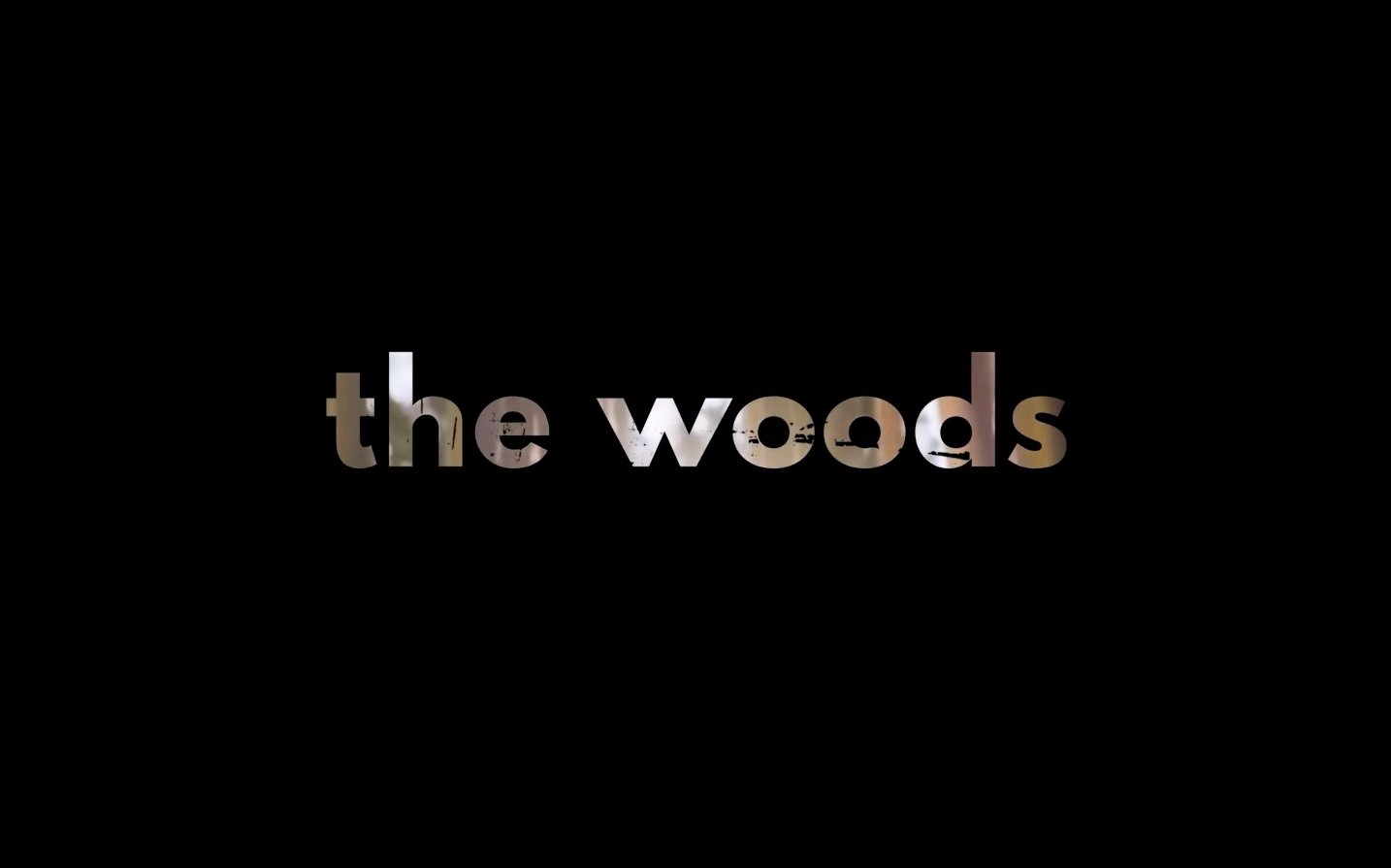 « Dans les bois », la série adaptée du roman d